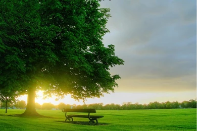 Download Free Nature Wallpapers Good Morning With Size 960x800 ...