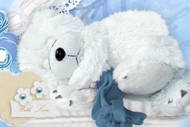 Teddy Bear Wallpapers >> Backgrounds With Quality HD