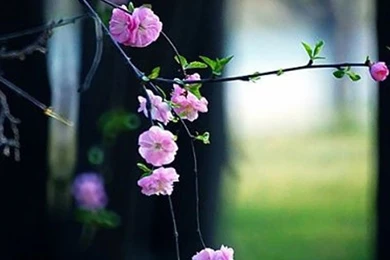 Building Lights iPhone 5s Wallpapers Download