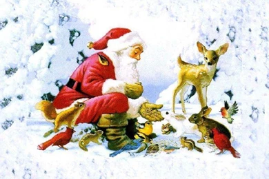 Free PC Wallpapers And Screensavers   Wallpapers HD Fine