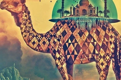 Camel And Middle East Architecture Wallpapers   Free iPhone Wallpapers