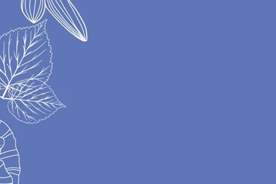 Blue Lavender Purple White Floral Botanical Iphone Wallpapers ...