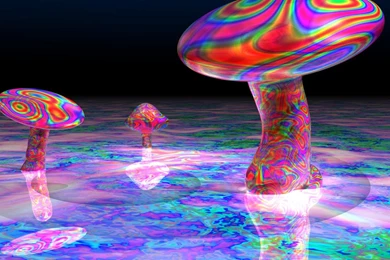Shroom Wallpapers   Wallpapers Zone