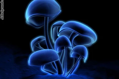 Shroom Backgrounds   Twitter & Myspace Backgrounds