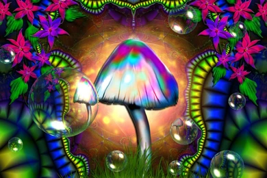 Download Shroom Lets Wallpapers 1440x900