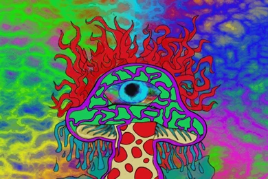 Shroom Wallpapers   Wallpapers Zone