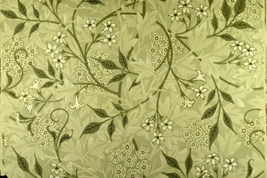William Morris Jasmine Wallpapers Design Painting   Jasmine ...