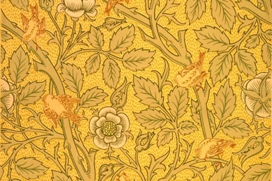 William Morris Bird Wallpapers Design Painting   Bird Wallpapers ...
