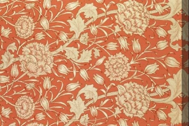 William Morris Tulip Wallpapers Design Stretched Canvas Print ...