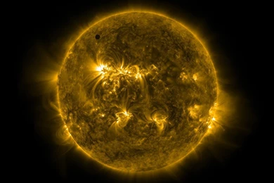 Fantastic Venus Wallpapers