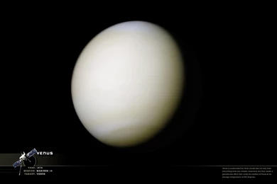 Wanderingspace » Blog Archive » Wallpaper: Venus Portrait