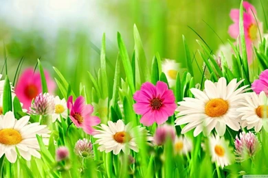 Happy Easter 2016 Widescreen HD Wallpaper Images Pictures