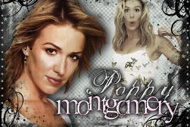 Poppy Montgomery   Poppy Montgomery Wallpapers (30724453)   Fanpop
