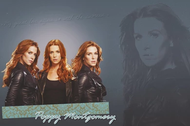 Poppy Montgomery Wallpapers