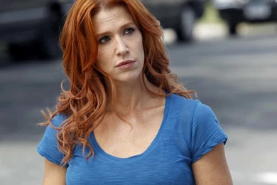 Poppy Montgomery Wallpapers (10 HD) – Daily Backgrounds In HD