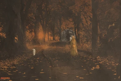 1280x800 Halloween Ghost Desktop PC And Mac Wallpapers