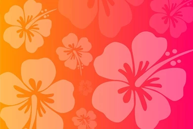 Hawaiian Background Images   Wallpapers Cave