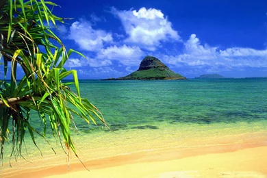 Hawaiian Beach Backgrounds