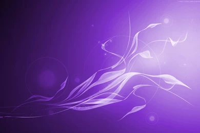 Violet Pattern Wallpapers