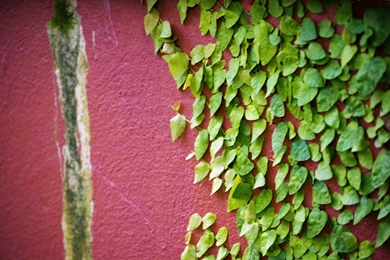 Backgrounds Wallpapers HD   FunAwake.com