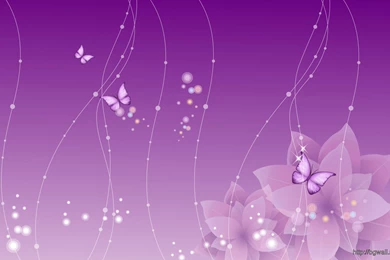 Purple Violet Flowers Backgrounds Wallpapers