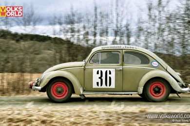 1952 Split Window VW Beetle Desktop Wallpapers   VolksWorld