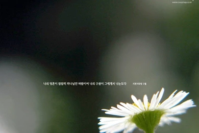 HD New Year 2016 Bible Verse Greetings Card Wallpapers Free: Bible ...