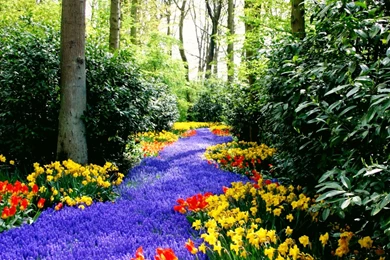 Amazing Views, Cool Nature Photos, Nature Wallpapers For Samsung ...