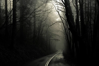 Wallpapers Scary Dog Street 1024x768