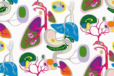 Human Biology Wallpapers