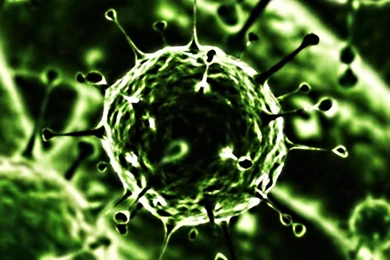 Biology.Virus.Live Wallpapers Android Apps And Tests AndroidPIT