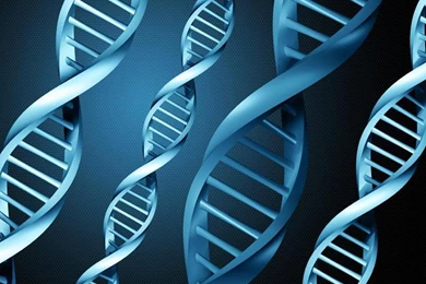 Dna Wallpapers Wallpapers Cave