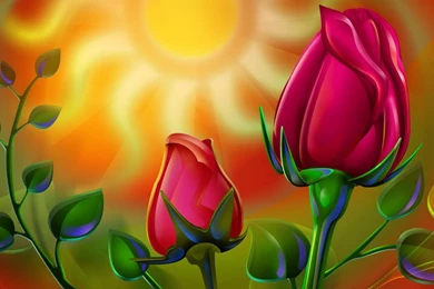 Laptop Hd Wallpapers