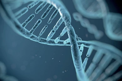 Awesome Biology HD Wallpapers Free Download