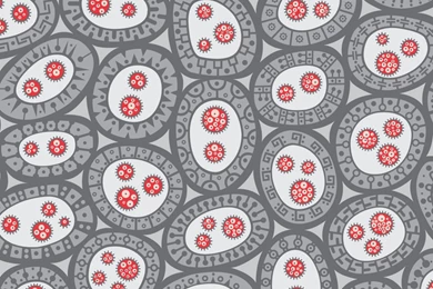 Index Of /downloadsx/biology wallpapers/iPad