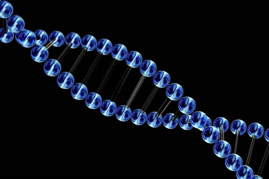 Biology Genetics Wallpapers 13170 1920x1080   UMad.com