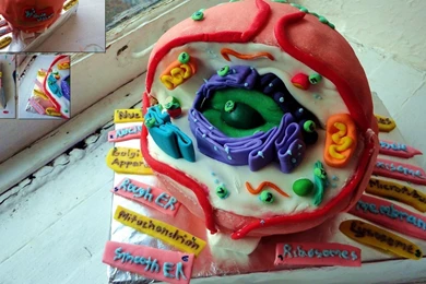 Cell Biology Cakes Wallpapers