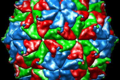 Cool Biology Backgrounds