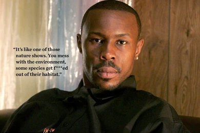 The Wire Wallpapers Download   Wire Avon nature