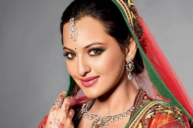 Sonakshi Sinha Wallpapers   (1024x768) : Indya101.com