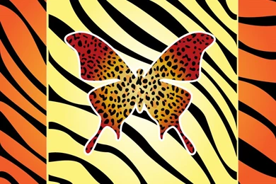 Tiger Stripe Butterfly