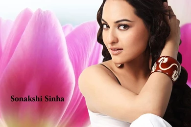 Sonakshi Sinha HD Wallpapers 1540
