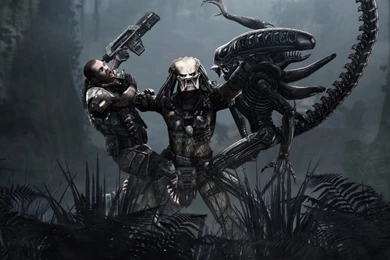 1440x900 Aliens Vs. Predator Desktop PC And Mac Wallpapers