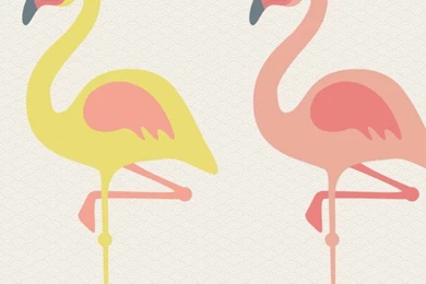 Wallpapers Maxi Borders   Baby & Child