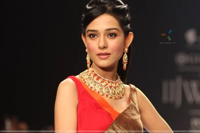 Wallpapers   Amrita Rao Showstopper For AGNI Jewels At IIJW 2013 ...