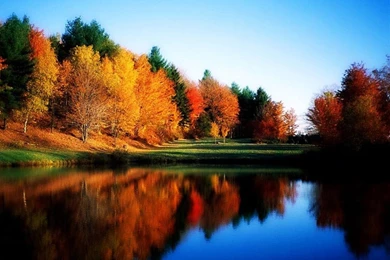 Nature: Fall, Picture Nr. 8212