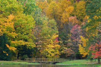 MLeWallpapers.com   Seven Springs Fall Bridge IV