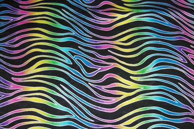 Colorful Neon Zebra Print