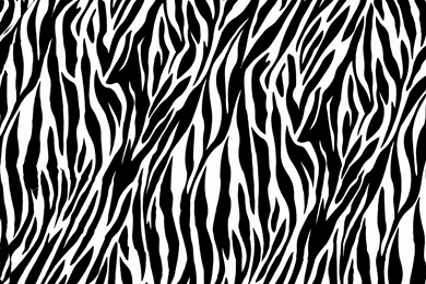 Zebra Wallpapers – AB Wallpapers