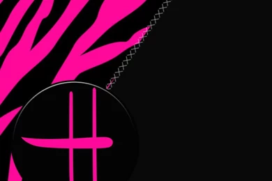 Neon Zebra Pictures   Car Automotive